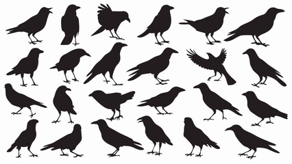 Caw silhouette vector set