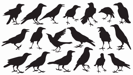 Caw silhouette vector set