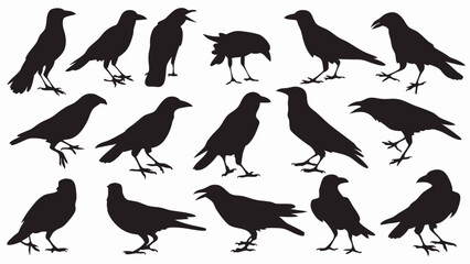 Caw silhouette vector set