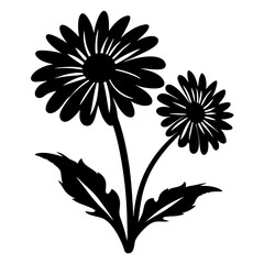 Elegant Black Silhouette of Two Daisies with Leaves Botanical Illustration