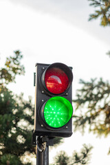 Small city traffic light in the form of a pole with red and green colors. Green glows brightly. Light evening, traffic light against the background of sky and tree branches.
