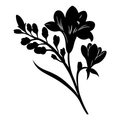 Elegant Black Silhouette of Freesia Flowers and Buds Botanical Illustration