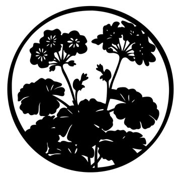 recommend clip art: Circular Black and White Geranium Floral Design Elegant Silhouette Botanical Illustration