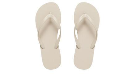 Isolated Beige Flip Flops