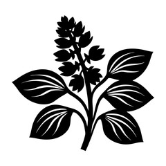 Black and white illustration of hosta , flower silhouette vector designs.