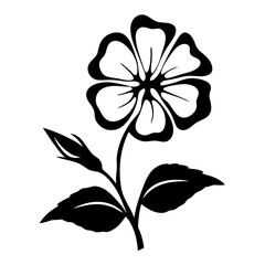 Black and white illustration of impatiens , flower silhouette vector designs.