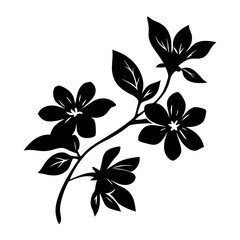 Black and white illustration of jasmine , flower silhouette vector designs.