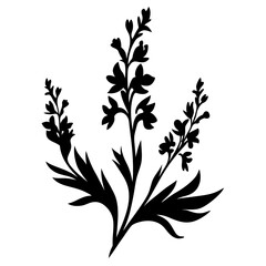 Black and white illustration of larkspur , flower silhouette vector designs.