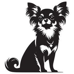 Silhouette Chihuahua solid black vector illustration isolated solid white background