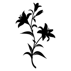 Black and white illustration of lily , flower silhouette vector designs.