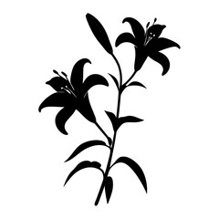 Black and white illustration of lily , flower silhouette vector designs.