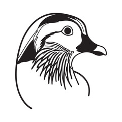 Mandarin Duck – Colorful Beauty of the Waterfowl World