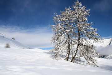 enneigement