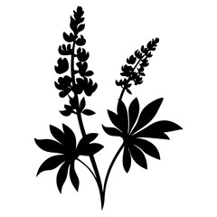 Black and white illustration of lupine , flower silhouette vector designs.