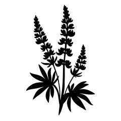 Black and white illustration of lupine , flower silhouette vector designs.