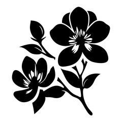 Black and white illustration of magnolia , flower silhouette vector designs. © Tanjila