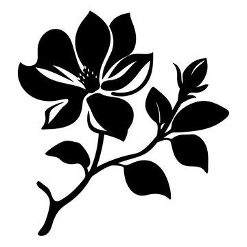 Black and white illustration of magnolia , flower silhouette vector designs.