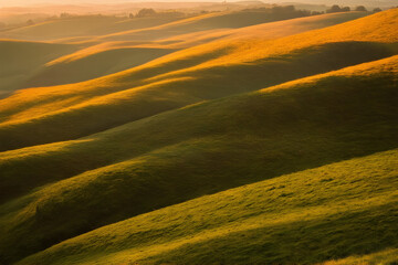 Obraz premium the expansive plains of a prairie or savanna, emphasizing the horizon line and the feeling of openness, perhaps with a lone tree or barn in the foreground. 