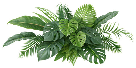 Tropical Leaves Composition Lush Greenery Arrangement Isolated on Transparent Background, foliage, plants, tropical plants, green leaves, jungle