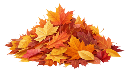 Pile of Autumn Leaves Digital Painting, Isolated on Transparent Background, Fall Foliage, Maple Leaves, Autumn, Fall, Leaves