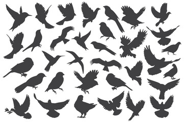 A dynamic collection of flying bird silhouettes in various positions. The black bird shapes are ideal for use in wildlife artwork, nature themes, and decorative patterns.
