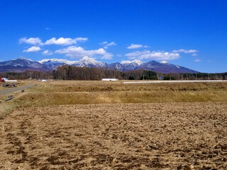 雪溶けした春の田んぼと八ヶ岳の山並み