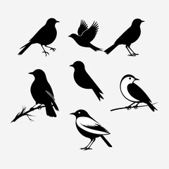 Fototapeta premium bird silhouette, birds silhouette vector, Bird Silhouette Vector Set – Flying Birds, Wings and Feathers for Tattoo, Logo and Nature Design