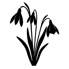 Black and white illustration of snowdrop , flower silhouette vector designs.