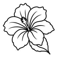 hibiscus flower line art vector on white background