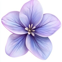 Fototapeta premium Delicate and Vibrant Violet Flower with Soft Petals and Gradients of Purple and Lavender Tones