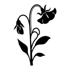 Black and white illustration of sweet pea , flower silhouette vector designs.