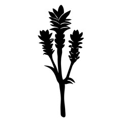 Silhouette of a Beautiful Tropical Flower with Three Blooms and Lush Green Leaves