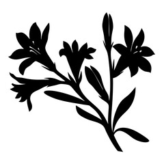 Silhouette of a flowering plant with multiple lilies and buds