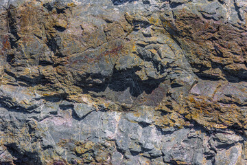 Cracked metamorphic rock, rough texture, natural surface, outdoor, daylight