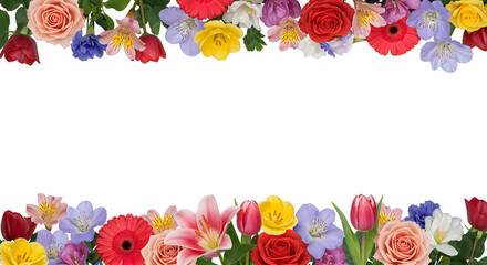 Flower Border| Flowers Border| Flower Background| Flower Flowers| Border Background| Mothers Day Background