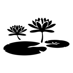 Water Lily Pond with Two Blooming Flowers and Lily Pads Peaceful Nature Scene