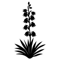 Black Silhouette of Yucca Plant with Tall Flower Spike and Broad Leaves Botanical Illustration