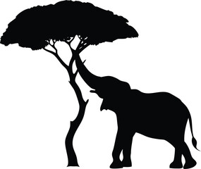 Silhouette of an Elephant Reaching for a Tree Isolated on Transparent Background