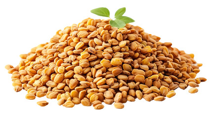 Pile of fenugreek seeds isolated on transparent background, high resolution PNG file