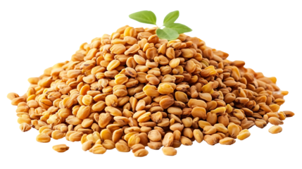 Pile of fenugreek seeds isolated on transparent background, high resolution PNG file