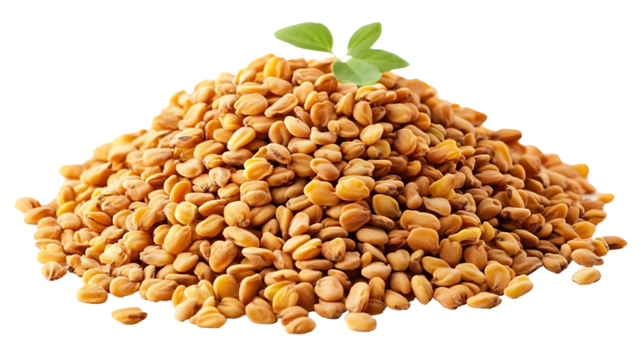 Pile of fenugreek seeds isolated on transparent background, high resolution PNG file