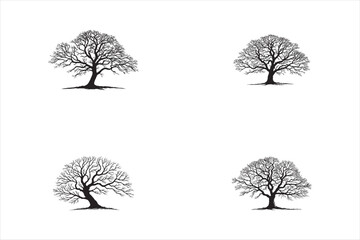 leafless-tree