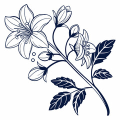 black and white flowers