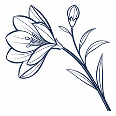 vector illustration of a flower