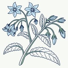 seamless pattern with flowers