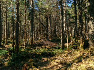 National park landscape in Quebec