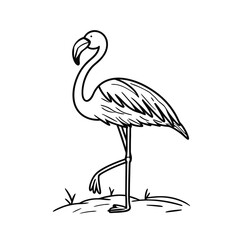 vector illustration of a flamingo