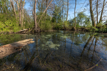 Groundwater source of clear and transparent water