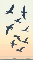 Fototapeta premium Birds gracefully flying under orange and blue sky hues