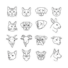 Obraz premium cute animal faces vector set outline design with cats dogs tiger lion wolf and deer illustrations